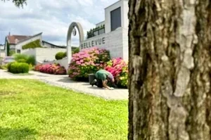 Bepflanzungspflege Hotel Bellevue