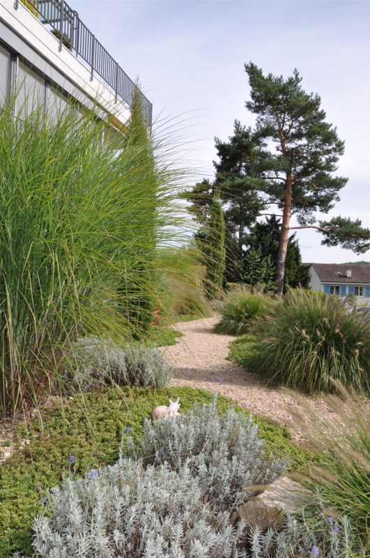 Gräsergarten am Hang