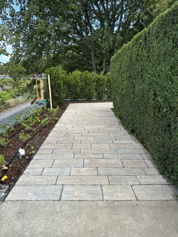 Pflasterweg an Thujahecke