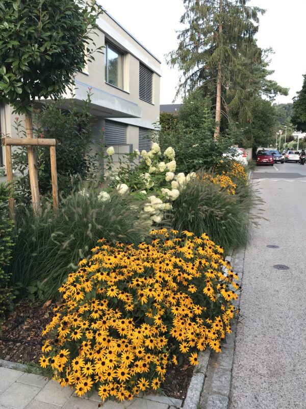 Blühender Vorgarten